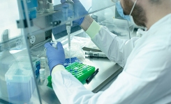 Scientist pipetting in a laminar flow cabinet
