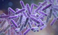 bioMerieux ENDONEXT COVID Vaccine Endotoxin