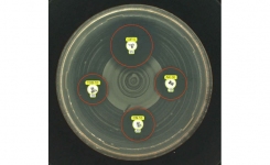 BIOMIC V3 Rapid AST from Giles Scientific