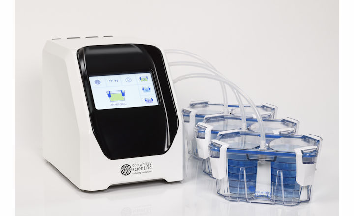 Create Rapid Conditions in Anaerobic Jars&nbsp;