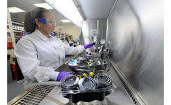 analyst performing sterility test in quality control microbiology laboratory hood