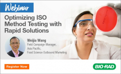 Microbiologist examines a red colored chromogenic media on a petri dish or plate