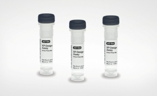 Molecular Serotyping for <em>Salmonella </em>Identification