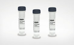 Bio-Rad XP-Design Assay Salmonella Serotyping Solution