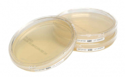 Redipor TwistLock plates