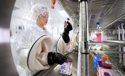 Scientist examines a sample in an isolator cabinet