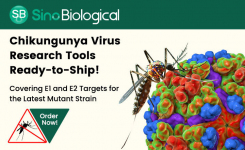Sino Biological Chikungunya Virus Research Tools Ready to Ship