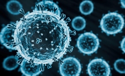 Zoonotic Risk of Avian Flu in Raw Milk