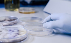 Reducing Uncertainty in Bioburden Testing