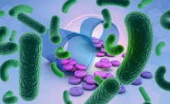 Extended Spectrum ESKAPE Es