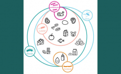 Infographic depicting foods and food pathogens