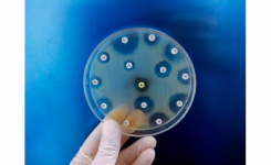 Intracellular Bacterial Persister Cells Contribute to Antibiotic Failure