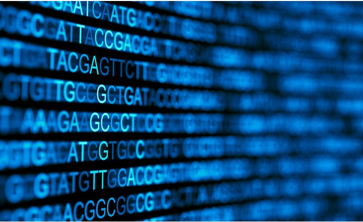 Evaluation of 16S-Based Metagenomic NGS