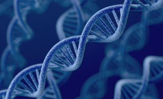 From Guesswork to Certainty: Achieving Species-level Microbial Identification