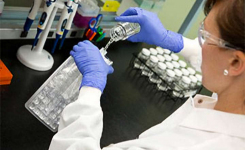 A microbiologist carrying out water testing in a laboratory
