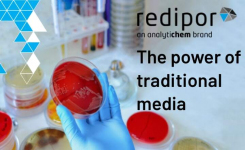 The Power of Traditional Media