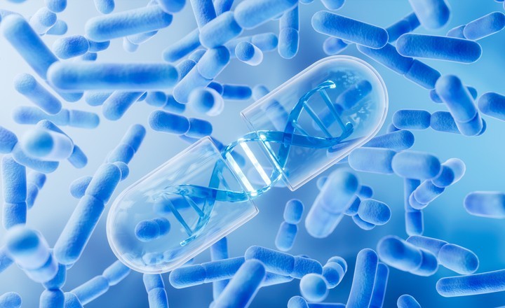 Anaerobic Human Gut microbiome Microcosms