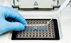 Detection of Resistance Genes in Blood Cultures by Multiplex PCR