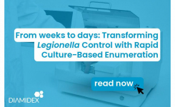 Rapid Legionella culture enumeration