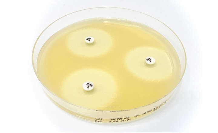 Assess Susceptibility of Enterobacterales With US FDA-cleared Sulopenem Disc SPM 2&micro;g