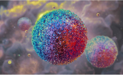 ACS cell therapy stem cells