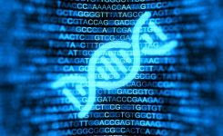WGS platform benchmarking in the clinical lab setting