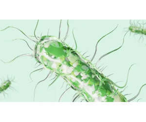 Optimize Your Laboratory&rsquo;s Pathogen Workflow