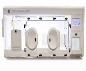 Whitley A45 HEPA Workstation