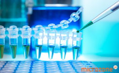 PCR tubes with mastermix and dye
