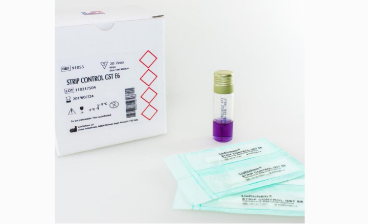 Control Steam Sterilization Cycles with Strip Control GST E6