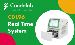 CDL 96 Real Time System