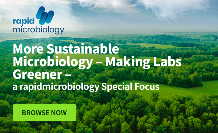 Green trees and fields and a blue sky